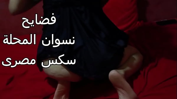 سكس عربى شرموطة مصرية طيزها نار عايزة تتناك بقوة