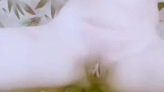 Come Enjoy My Milkey Pussy