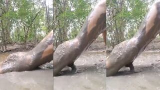Cowok Gila Ngewe, Sendirian Tapi Bejat, Ngebut Di Lumpur Di Video Xxx