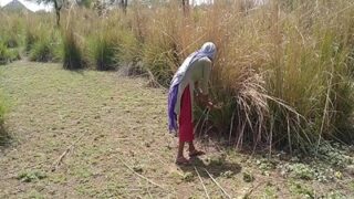 Video Mesum Desi Di Sawah, Si Bejat Sama Kuli Ngewe Sambil Ngocok.